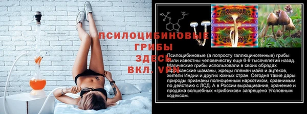 ГАЛЛЮЦИНОГЕННЫЕ ГРИБЫ Алзамай
