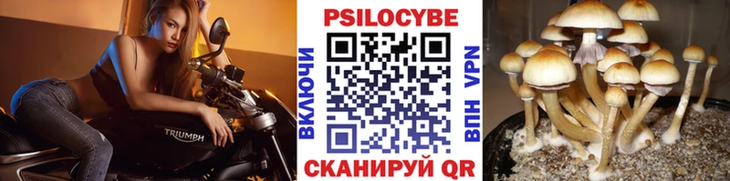 Псилоцибиновые грибы Cubensis  mega рабочий сайт  Сафоново 